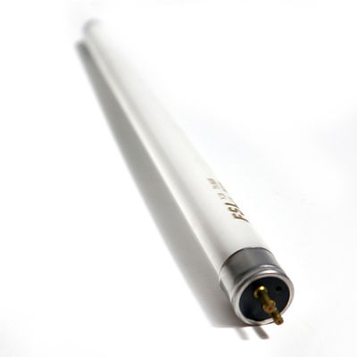 5w T5/8W Lampe pour le dragon d'or plus haut roi long ZHONGTONG ANKAI Autobus pièces 3755-00032